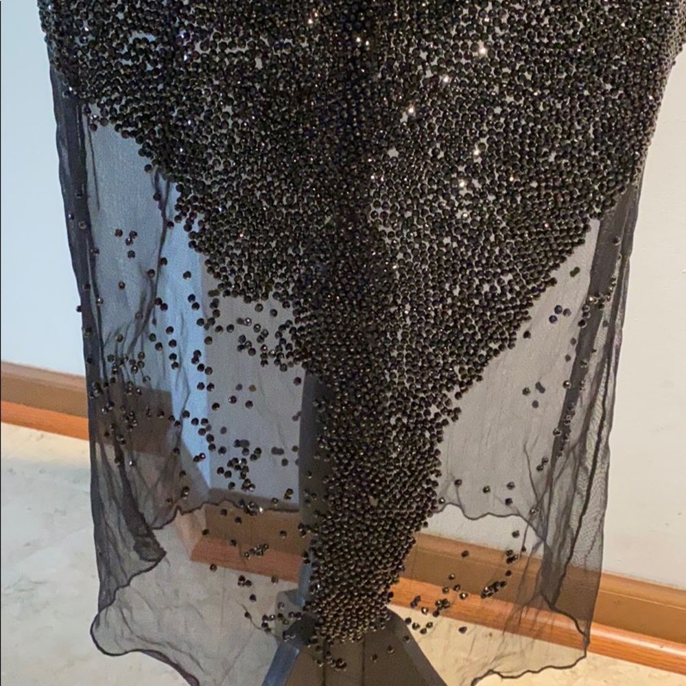 Beaded Sheer Dress - Picture 11 of 14